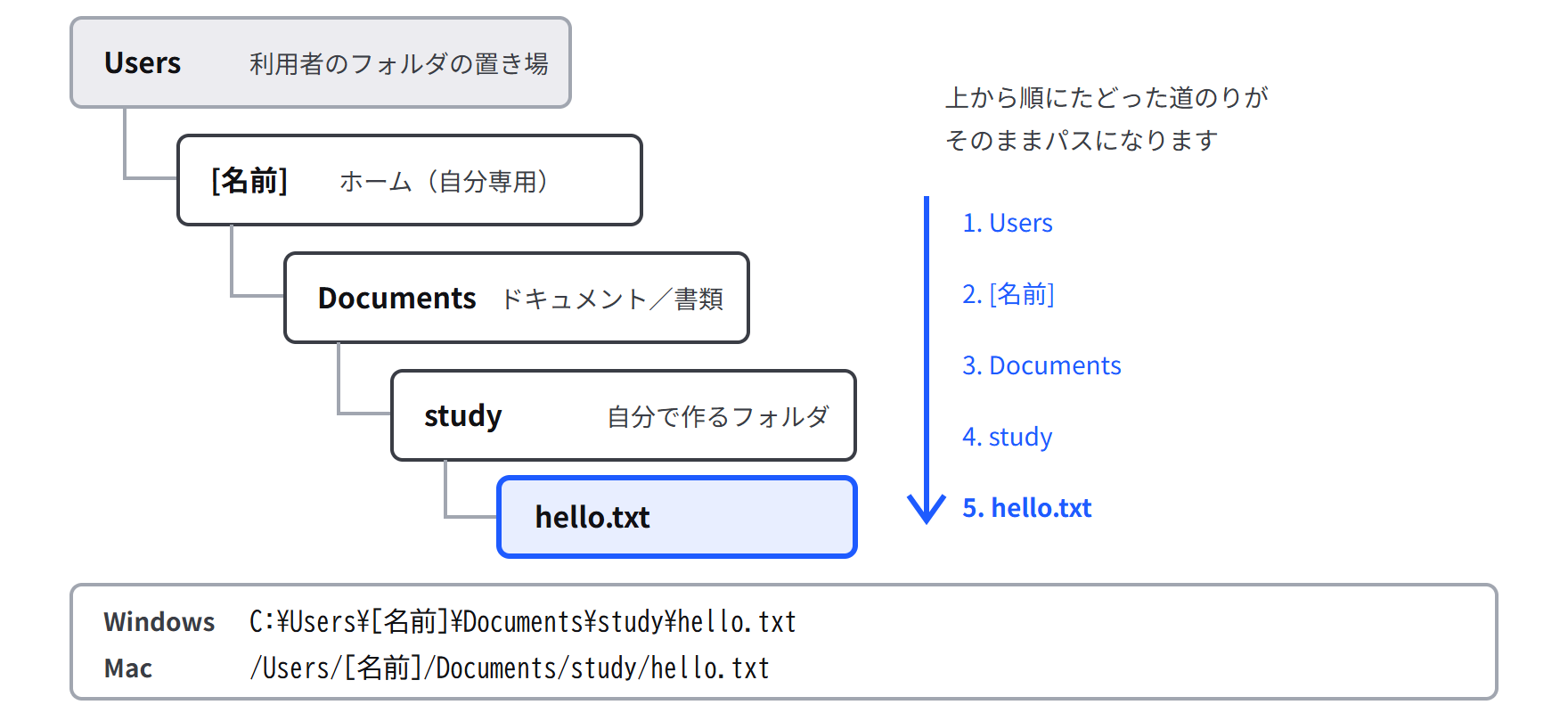 ユーザーのフォルダから Documents、study、hello.txt へと下がっていく階層図。下に Windows と Mac それぞれのパスの書き方